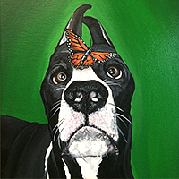 Great Dane portrait, acrylic painting