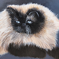 cat portrait, acrylic painting
