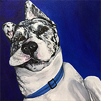 Great Dane portrait, acrylic painting